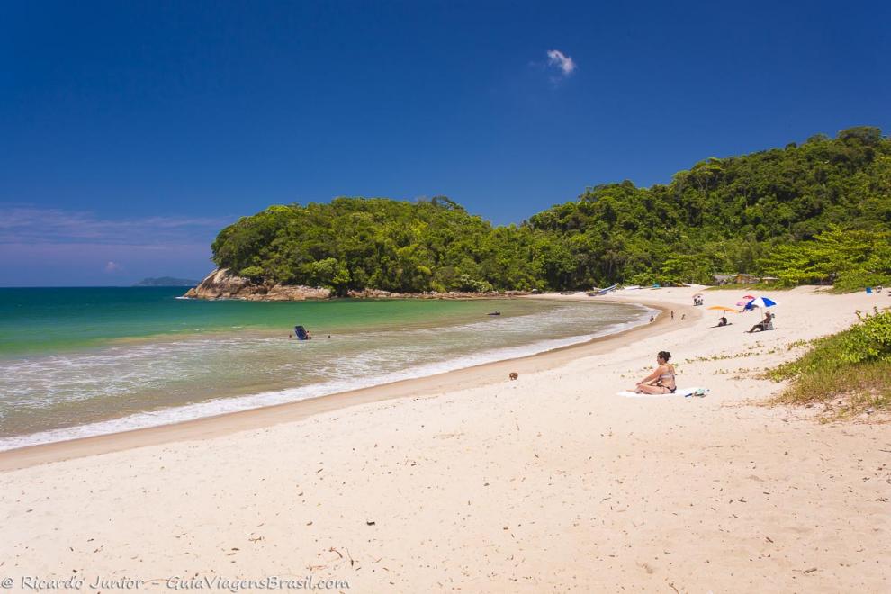 Imagem do mar e da linda vegetação do canto da Praia de Camburi.